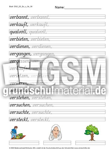 DSS_2S_Bu_v_Nr_06.pdf